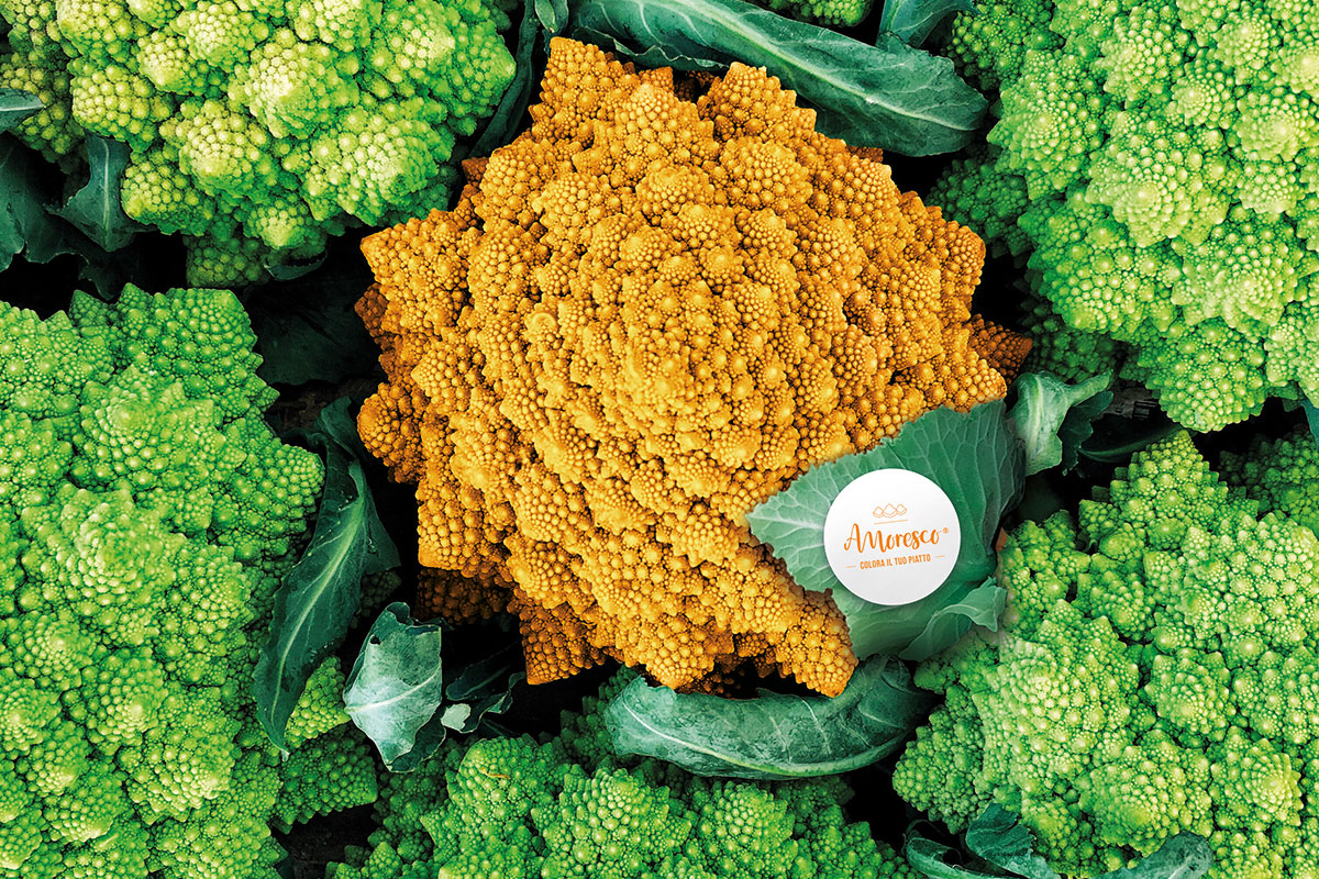 Amoresco, il primo cavolo romanesco arancione