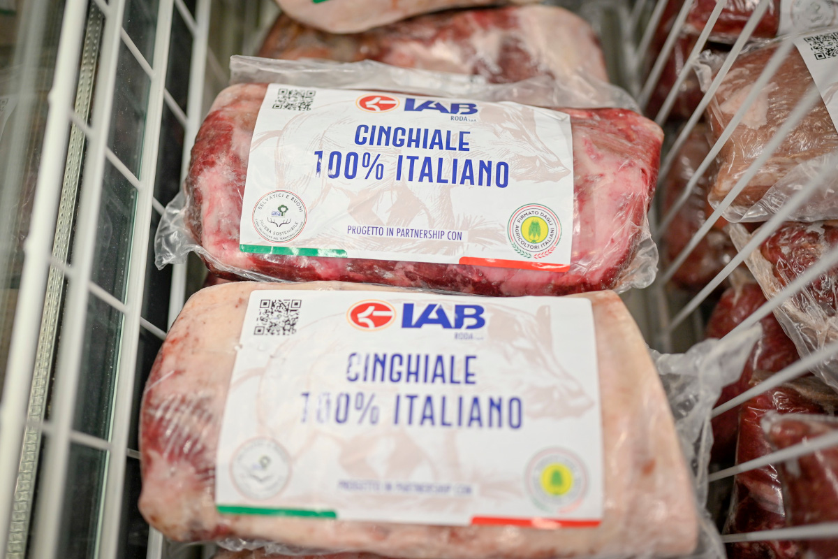 Da Metro Italia arriva la carne di cinghiale a provenienza locale