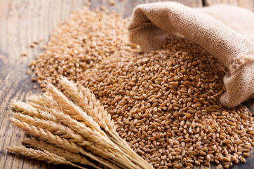 grano-cereali