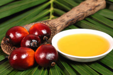 olio di palma-Fao-oli vegetali