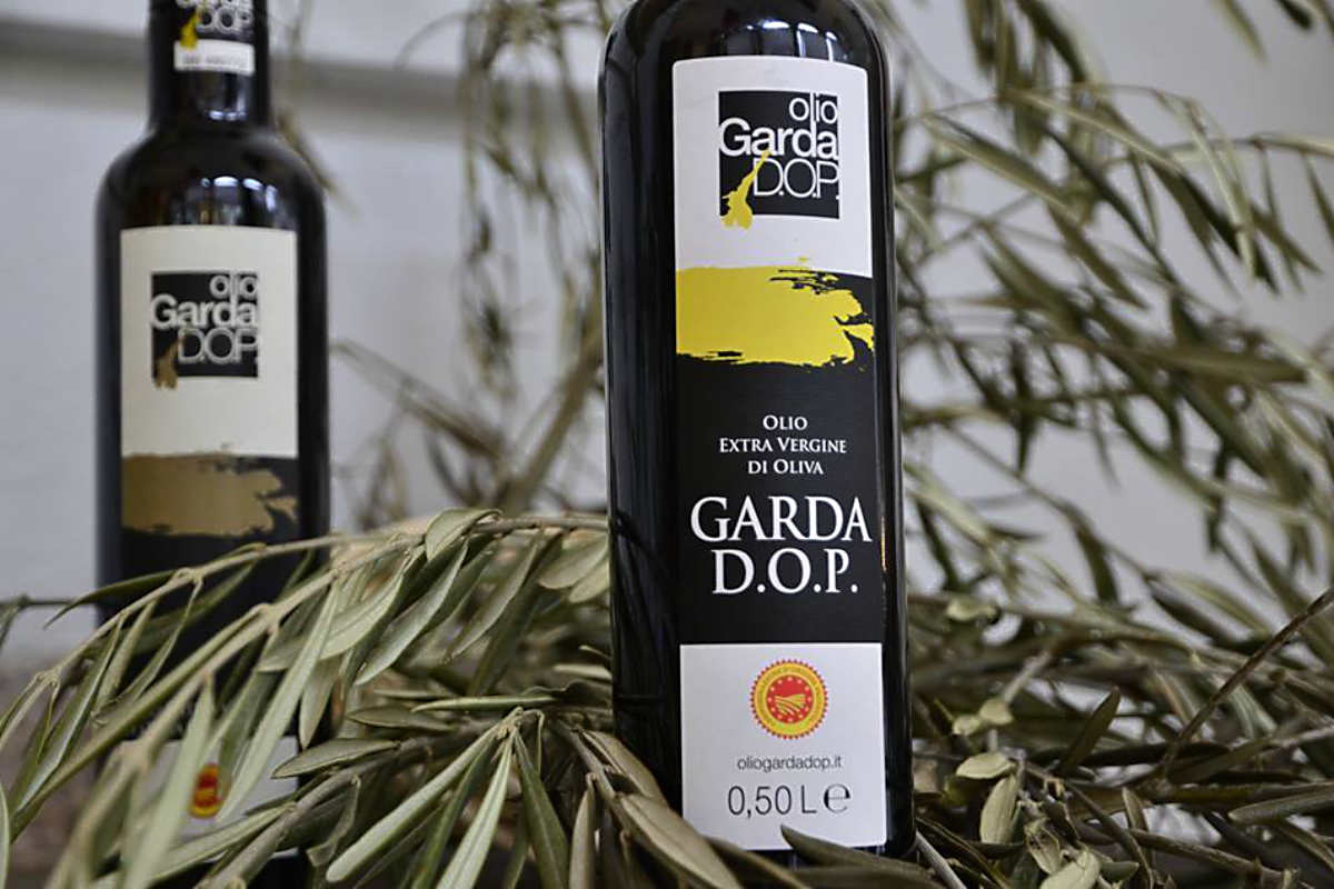 L’olio evo Garda Dop: eccellenza da valorizzare