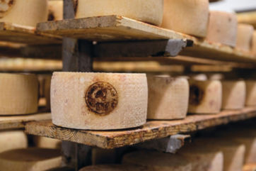 Pecorino Toscano