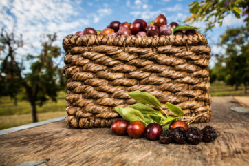California Prune Board