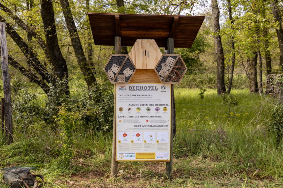 Monini, un progetto per studiare l’interazione tra uomo e api