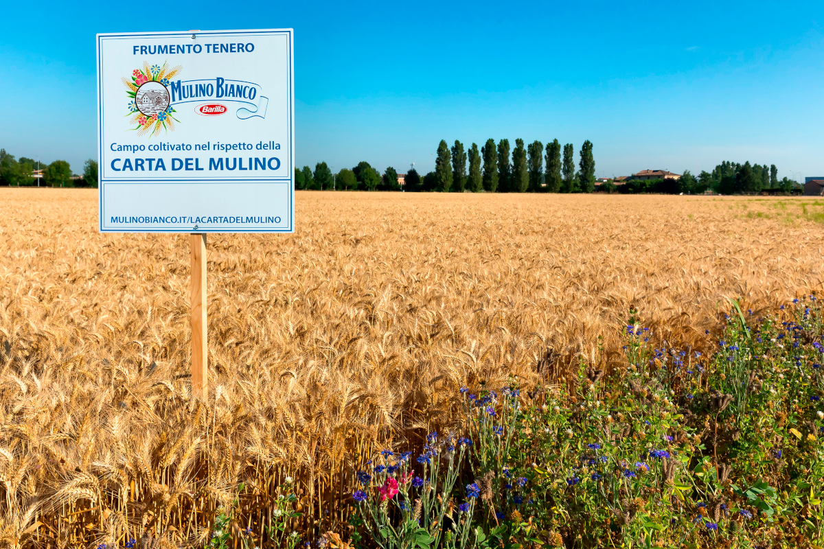 Barilla, dieci anni all’insegna della sostenibilità