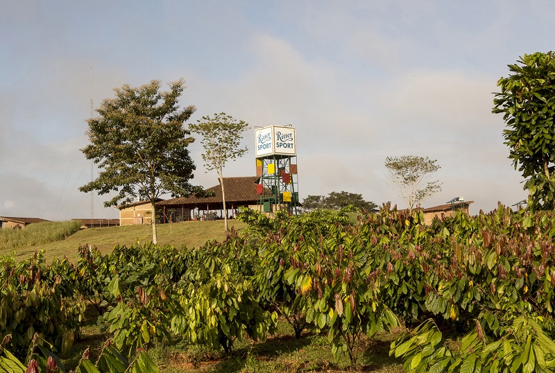 piantagione El Cacao per Don Choco
