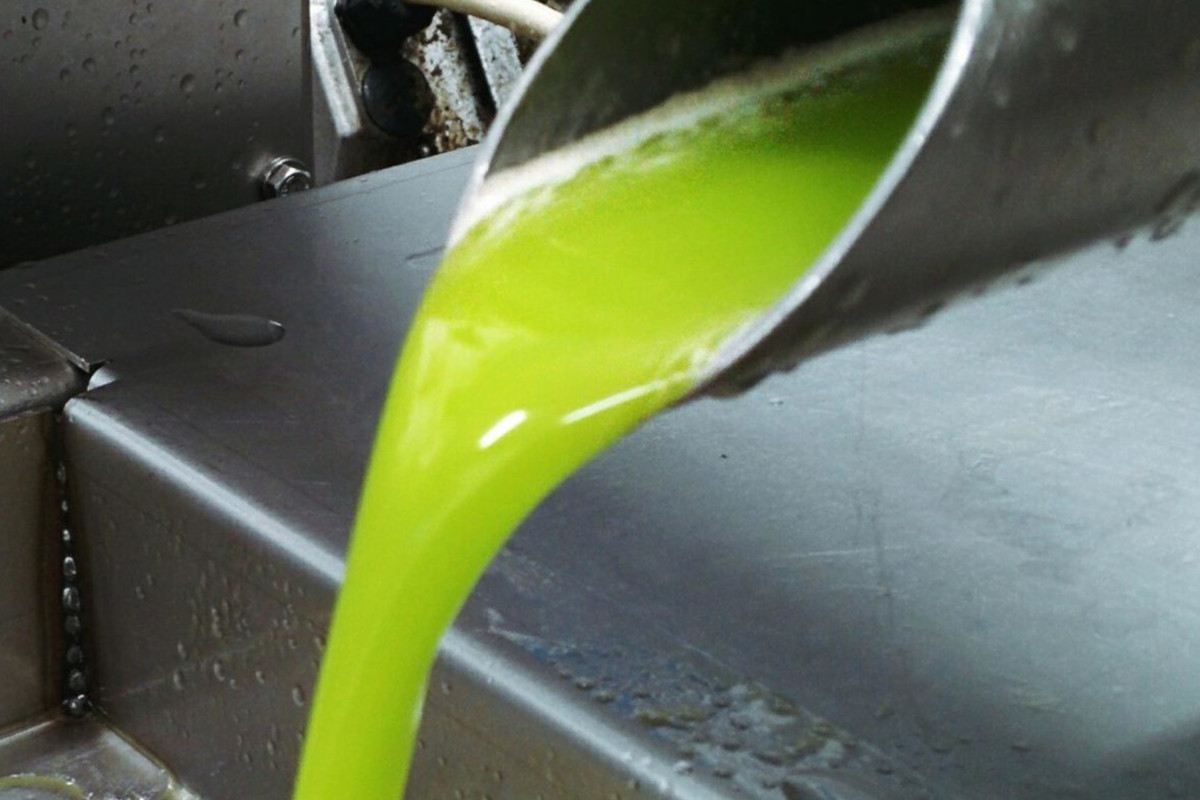 Olio d’oliva, ok dalla Ue al piano italiano per ammodernare i frantoi