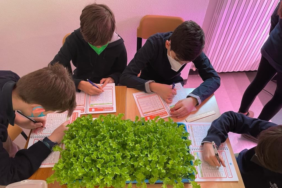 Esselunga porta il vertical farming nelle scuole