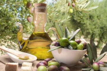 Puglia-olio d'oliva-Coratina-olive-olio-Pantaleo-olio extravergine