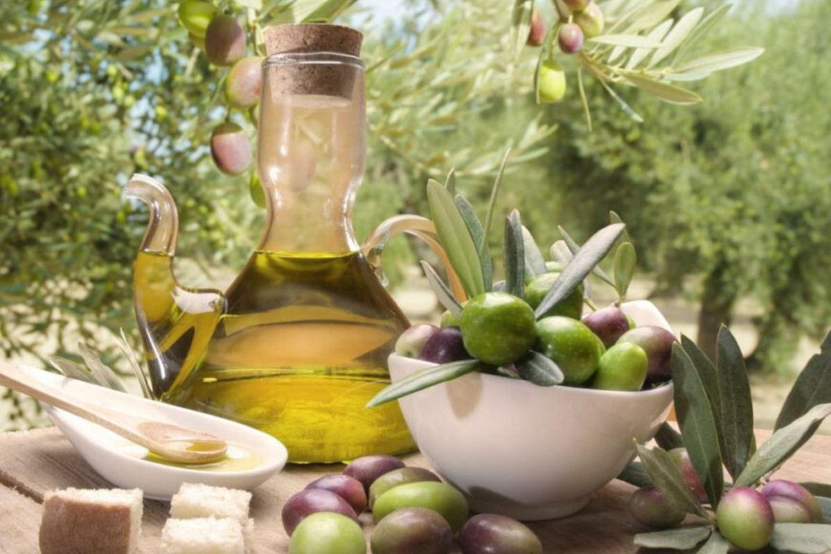 Olio, allarme in Puglia: un’azienda su dieci è a rischio chiusura