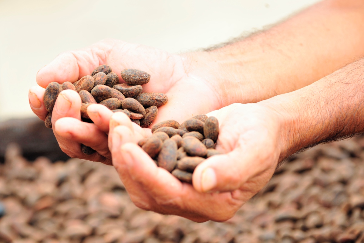 Ritter Sport, cacao tracciabile al 100%