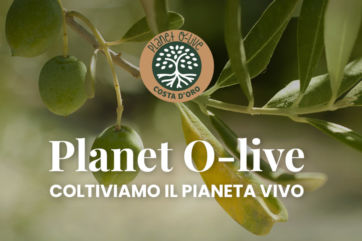 Costa d'Oro-olio-Planet O-Live