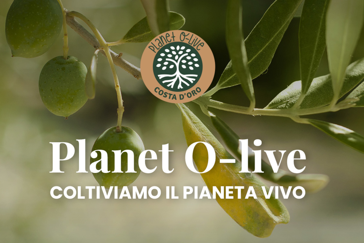 Costa d’Oro lancia “Planet O-live”