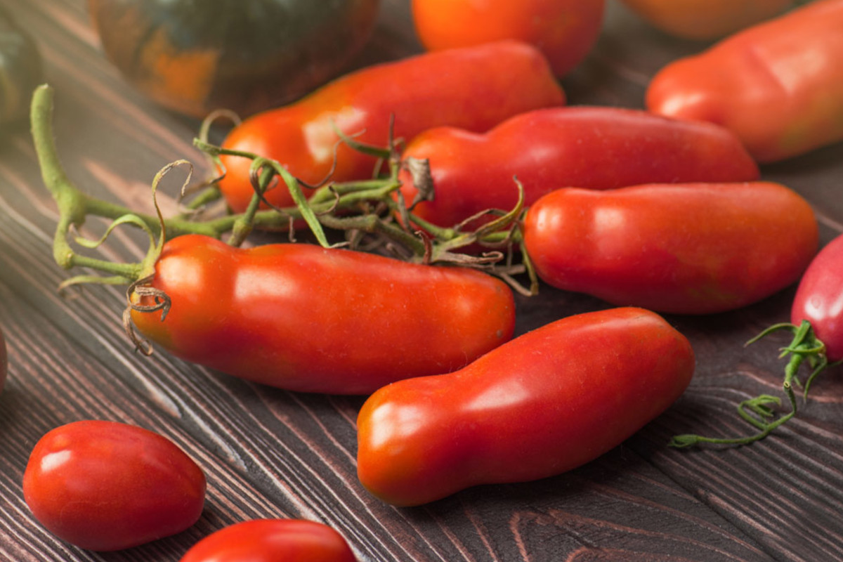 Pomodoro Pelato di Napoli, Anicav sostiene il marchio Igp