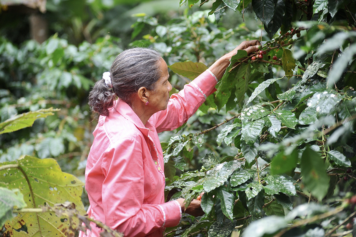 Caffè Vergnano, prosegue il progetto Women in Coffee