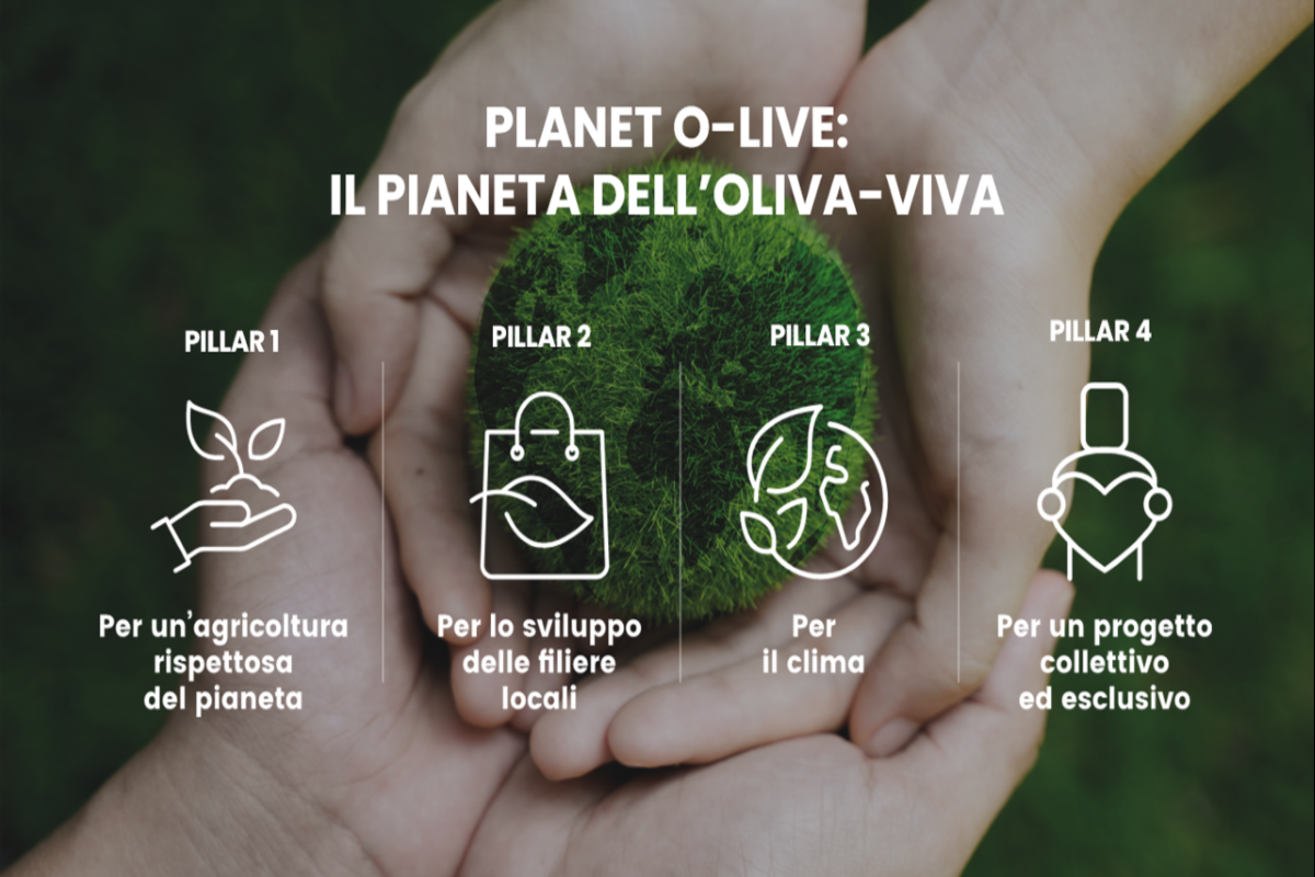 Costa d’Oro lancia “Planet O-live”: il nuovo piano di sostenibilità per valorizzare la filiera dell’olio