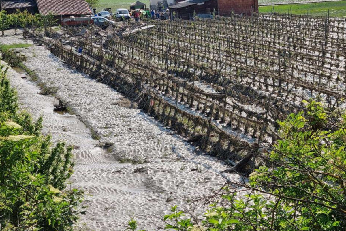 Maltempo e agricoltura: stimati oltre 1,5 miliardi di danni