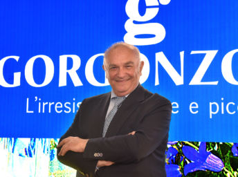 Antonio Auricchio-Gorgonzola