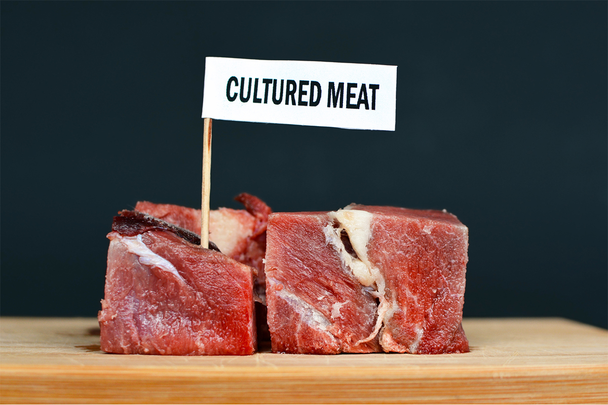 Carne coltivata, stop anche dall’Unione Europea