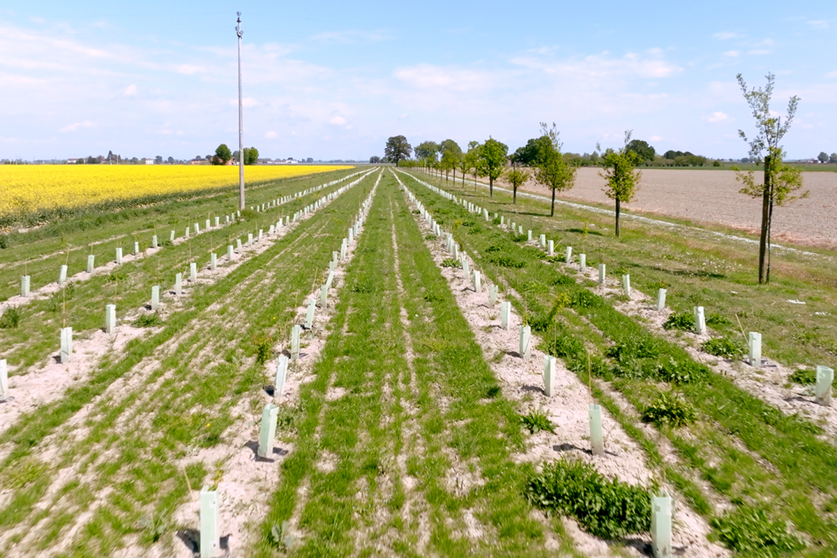 Nasce il bosco Clai, un agro-parco didattico per Imola