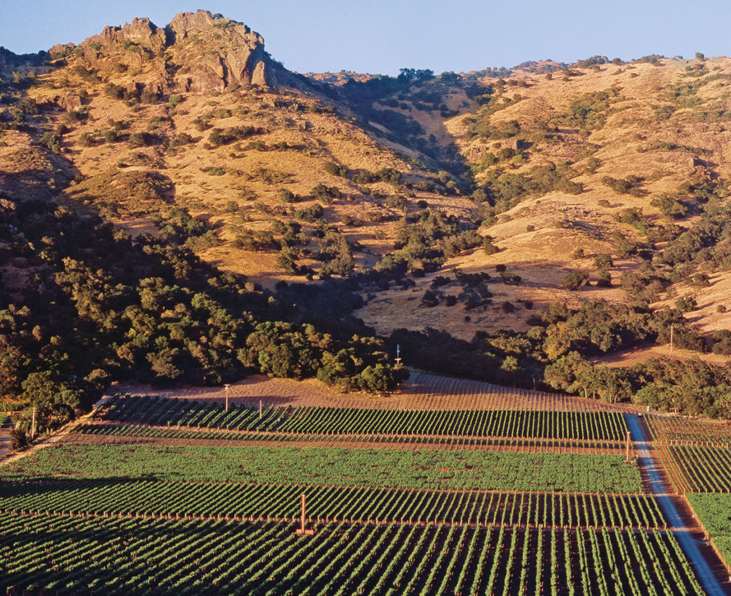 Marchesi Antinori presidia la Napa Valley