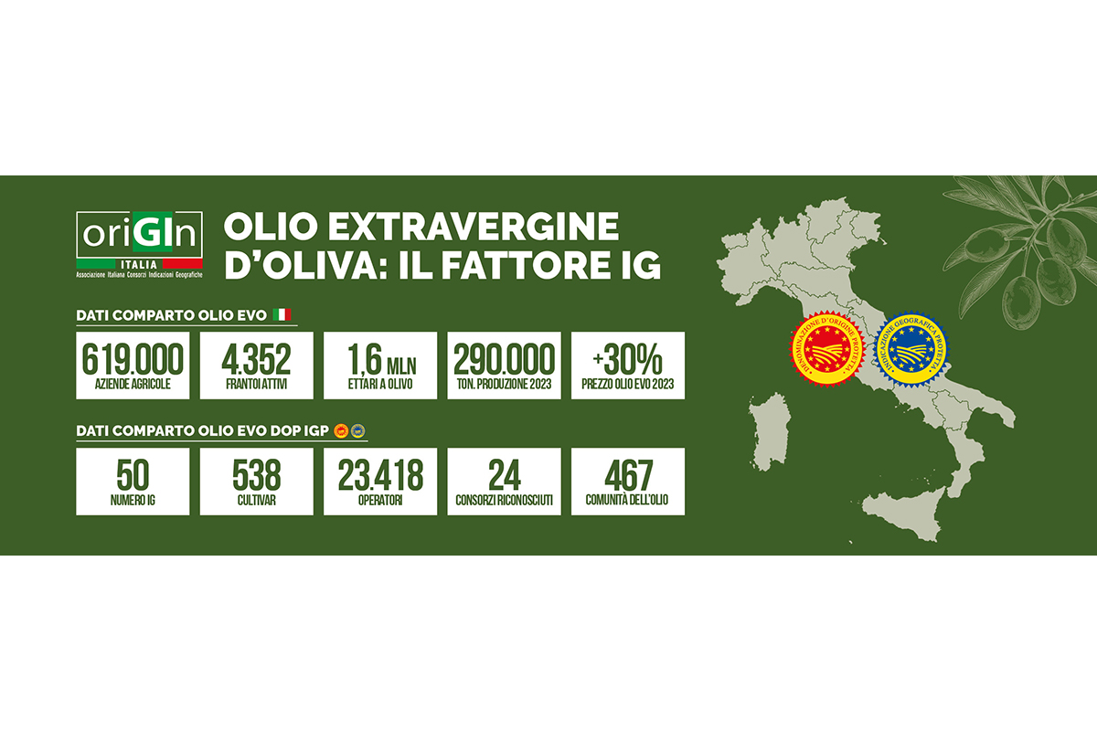 Olio evo, il rilancio passa dalle Indicazioni geografiche 