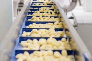 Ciemme Alimentari-gnocchi