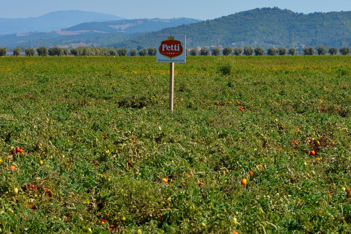 Petti punta sulla comunicazione