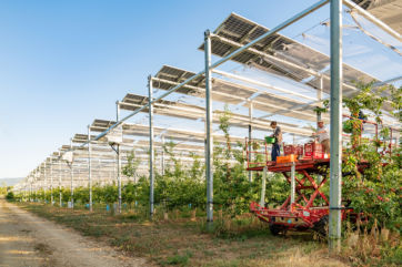 Raccolta_Vista complessiva Impianto Sun'Agri Etoile su Rho in Francia