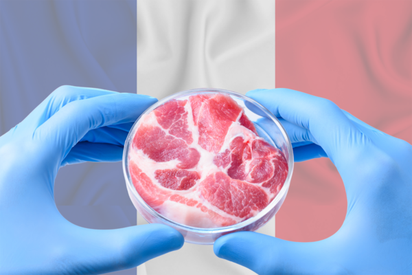 prodotti veg-Carne coltivata in laboratorio in Francia. Petri con carne e bandiera francese.