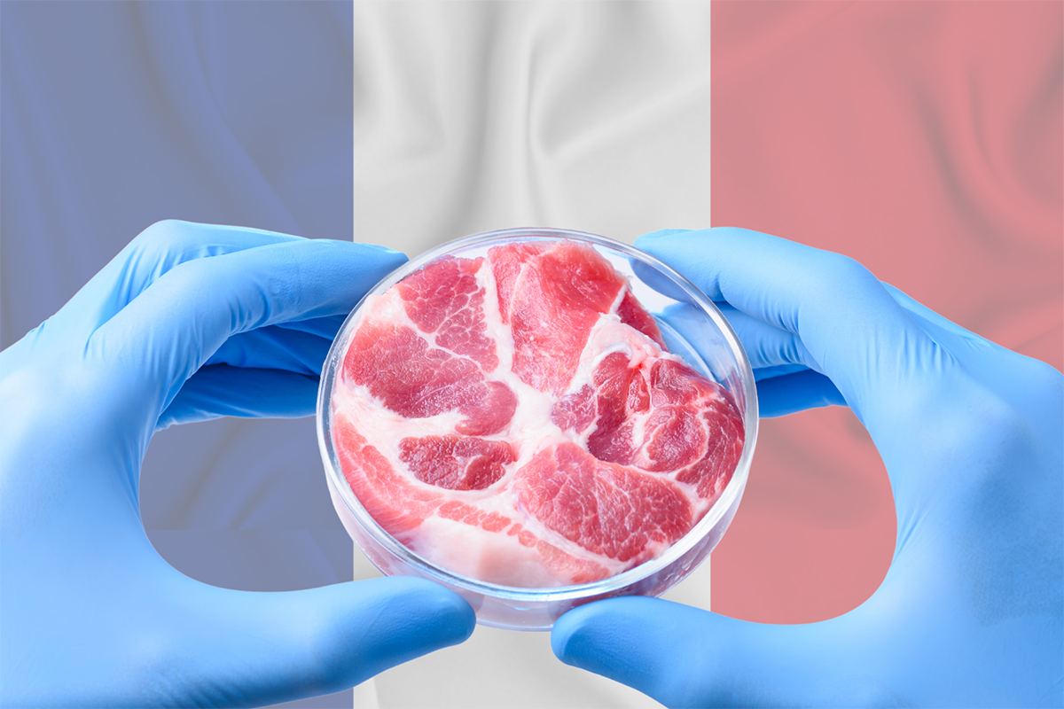 Cell based meat: si apre il dibattito in Francia