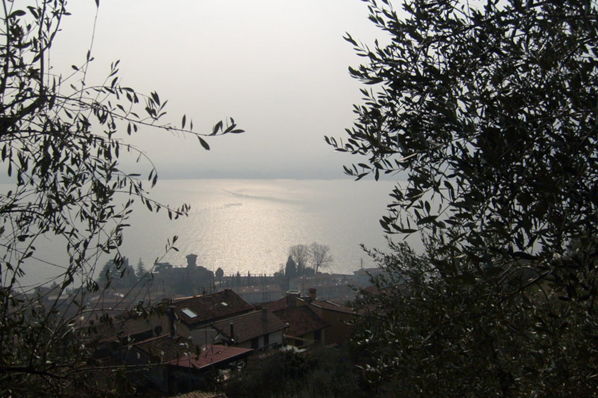 Laghi Lombardi Dop, torna l’olivicoltura